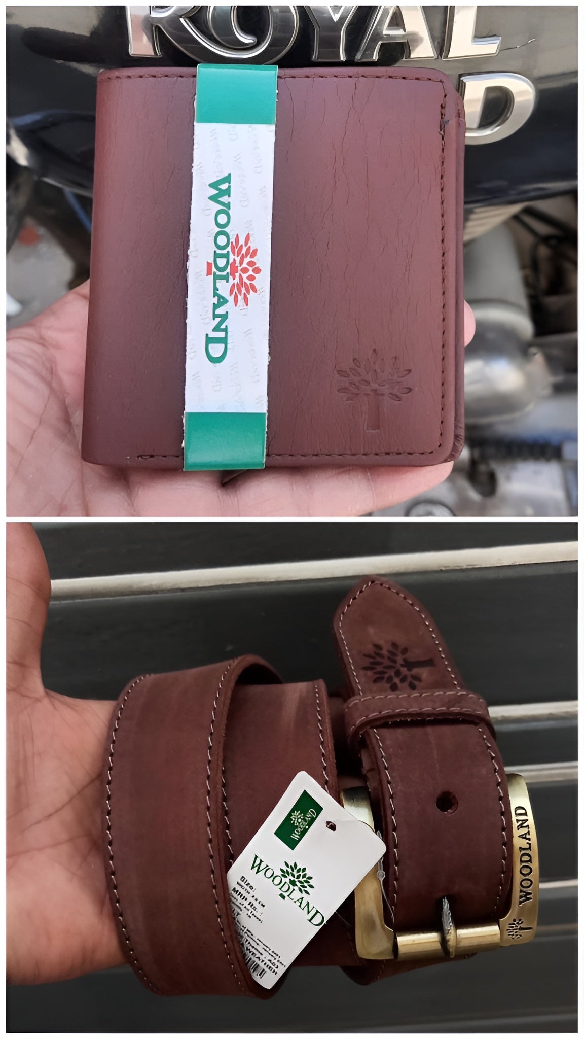 Woodland Brown Wallet & Belt Combo